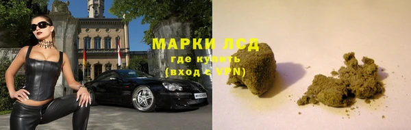 ГАЛЛЮЦИНОГЕННЫЕ ГРИБЫ Армянск