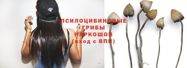 mix Аркадак