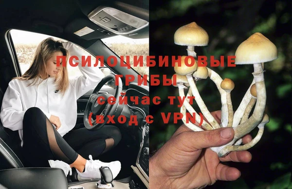ГАЛЛЮЦИНОГЕННЫЕ ГРИБЫ Армянск