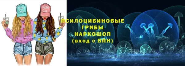 индика Балабаново